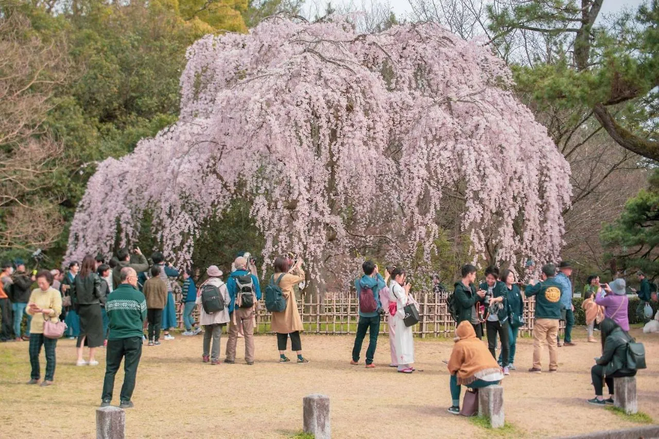 ホテル ニンジャ ブラック 京都市 3*,
